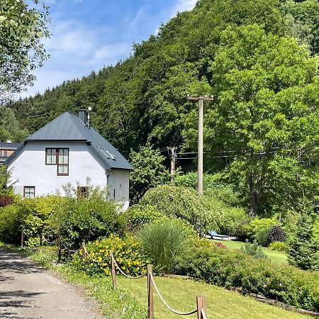 Vila Aja Svoboda nad Úpou Exteriér fotografie