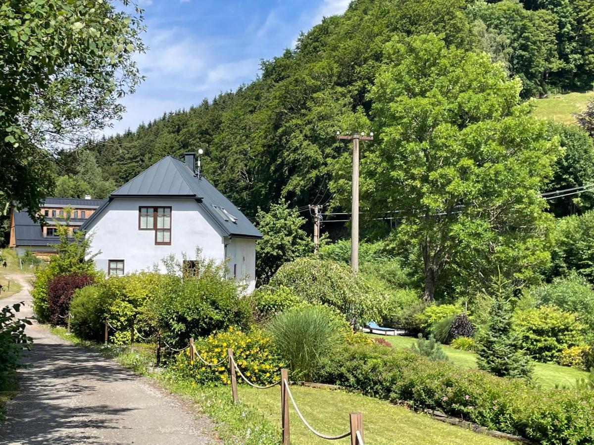 Vila Aja Svoboda nad Úpou Exteriér fotografie